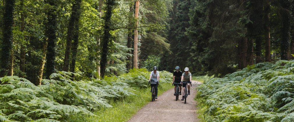Three people riding bikes along a gravel trail in the forest