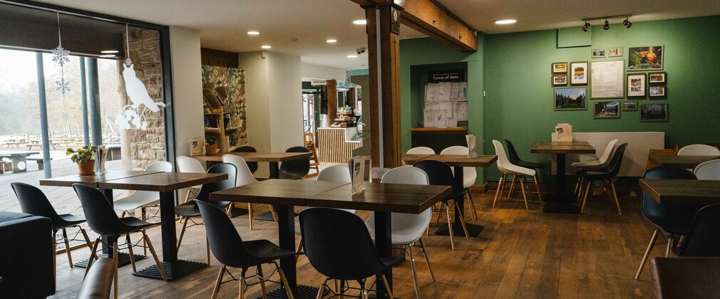 Interior of Beechenhurst cafe showing tables and chairs in front of a large window.