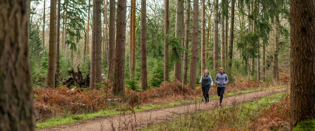 Two people running through a forest in autumn/winter