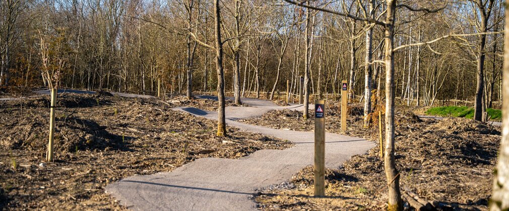 A cycle trail winding through young trees