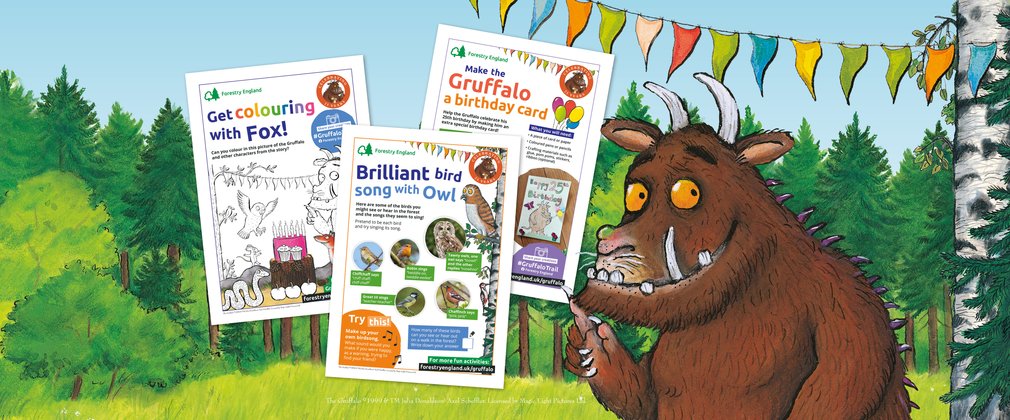 The Gruffalo with activity sheets and forest background