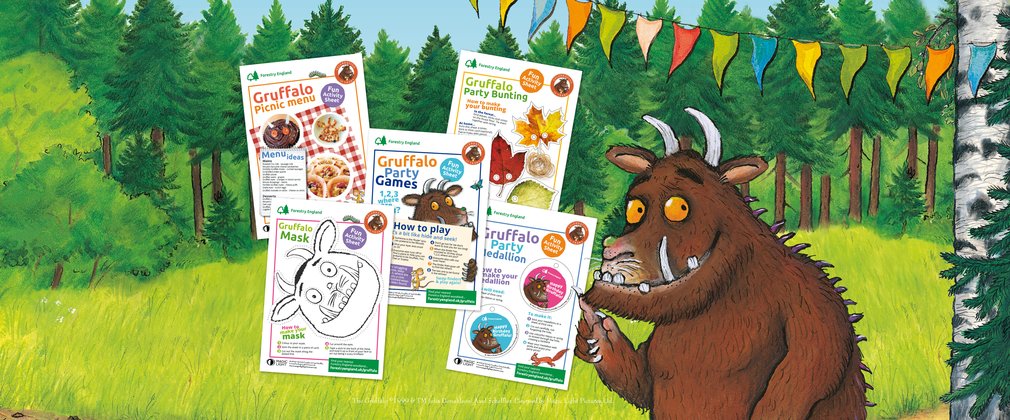 Gruffalo activity sheets with Gruffalo party bunting and forest
