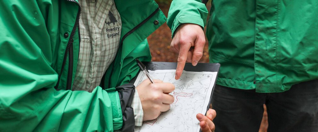 Two people planning work in the forest with a map on a clipboard