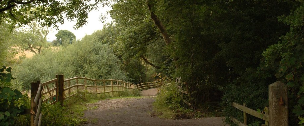 A woodland path shown with wooden fence on one side and trees on the other