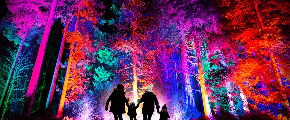 A family holding hands looking at the colourful trees