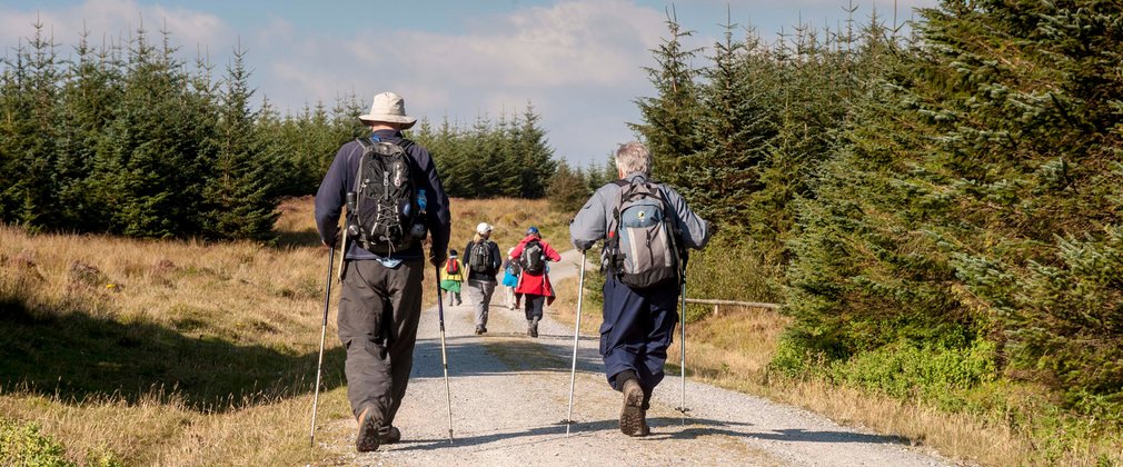 Nordic walkers at Bellever Forest
