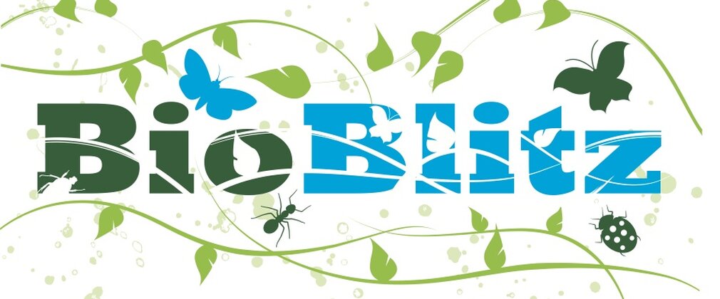 A green and blue logo saying BioBlitz with animals and leaves falling around the word. 