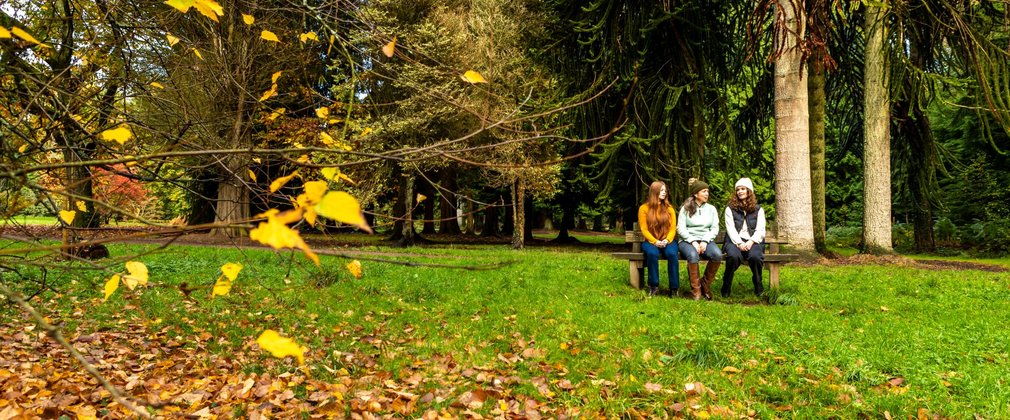 A family enjoying Autumn colours sitting on a bench