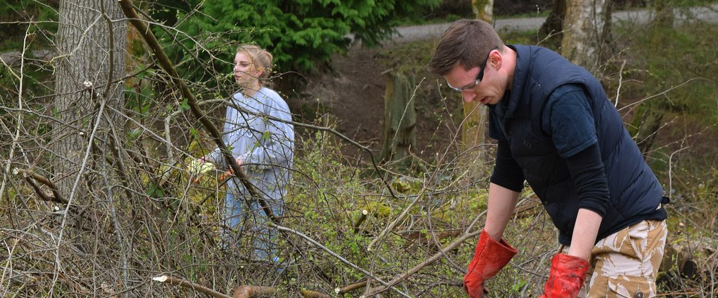 Bedgebury volunteers clearing brash