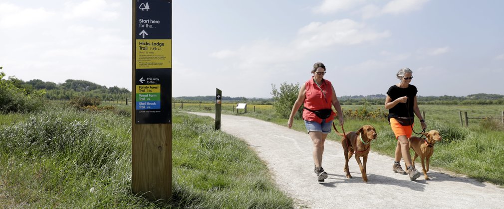 Walkers with dogs at Hicks Lodge on a summers day