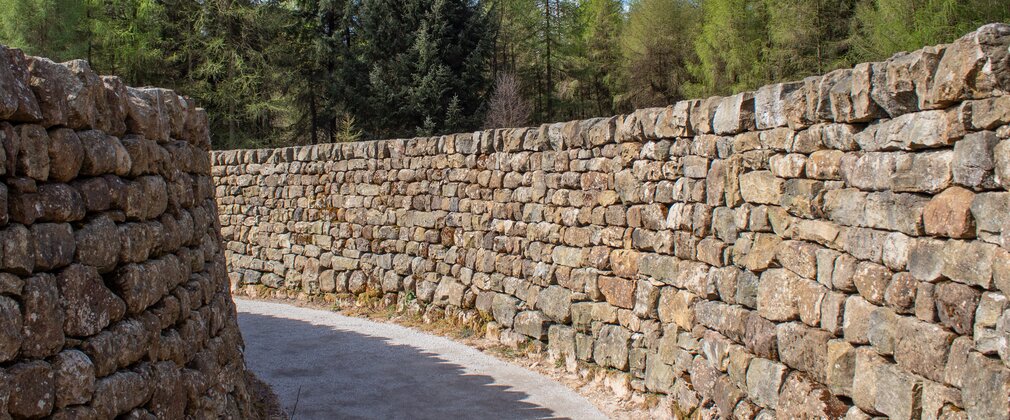 Curved dry stone walls in the forest with a path between them
