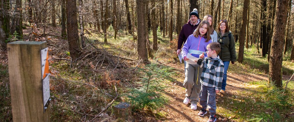 Family approaching orienteering control