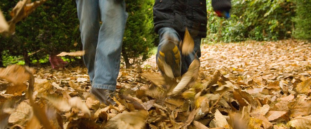 Autumn Seasonal Trail