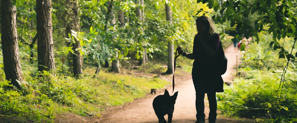 Woman walking her dog, silhouetted against forest background