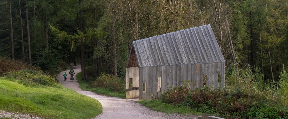 Timber shelter on a forest trail