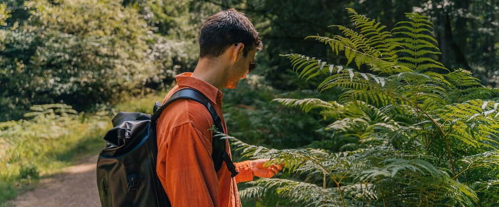 Side view of a man in an orange shirt, wearing a backpack, stroking a fern leaf in the forest.