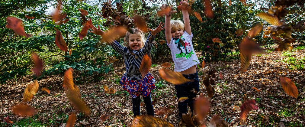 kids throwing leaves in forest