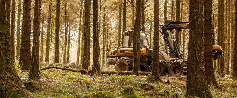 A harvesting machine working in a woodland