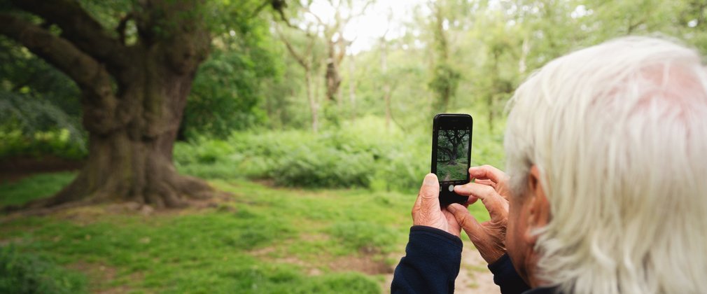 A person with their back to the camera takes a photo of a tree on a mobile phone