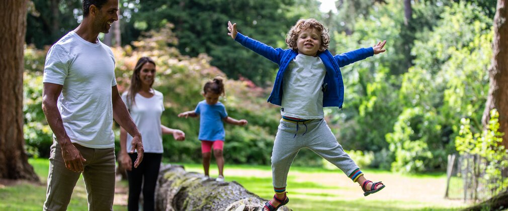 A young boy jumps off of a felled log with his Dad laughing next to him and sister and mum in background walking along the log.