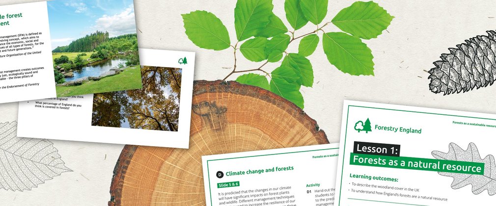 A banner showing digital illustrations of leaves, log slice and fir cone, with worksheets.