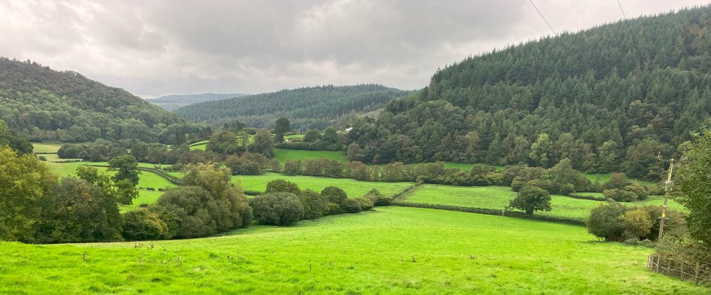A wide landscape view of the site at Lower Lye, with green grass in the foreground with surrounding forest
