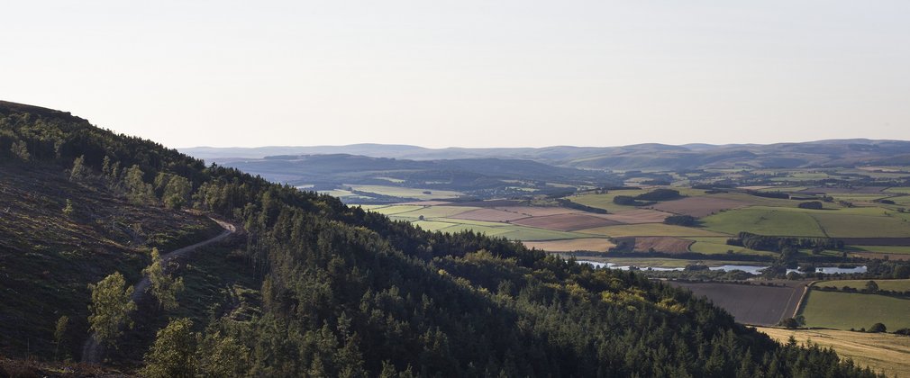 Forests of Rothbury, Simonside