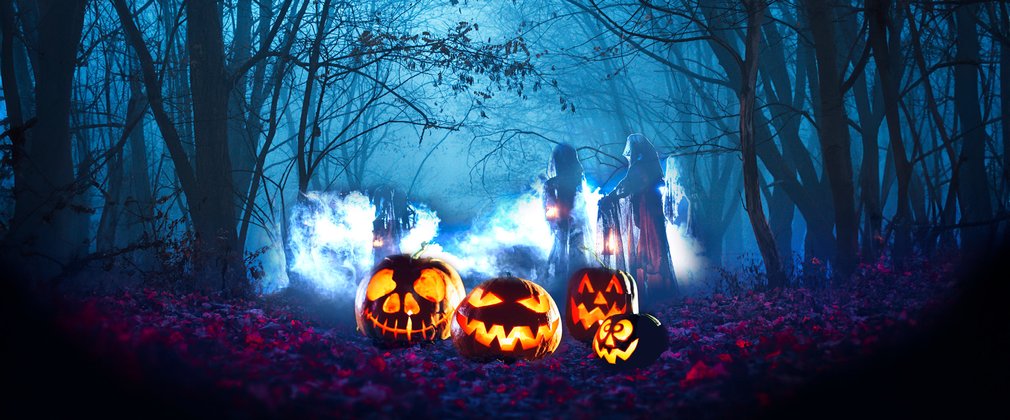 Halloween scene with pumpkins in the forest at night