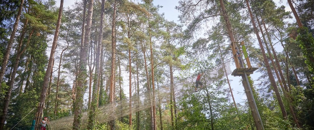 Go ape tree top adventure mallards pike 