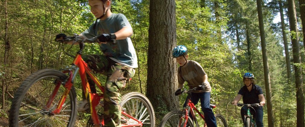 family cycling new forest