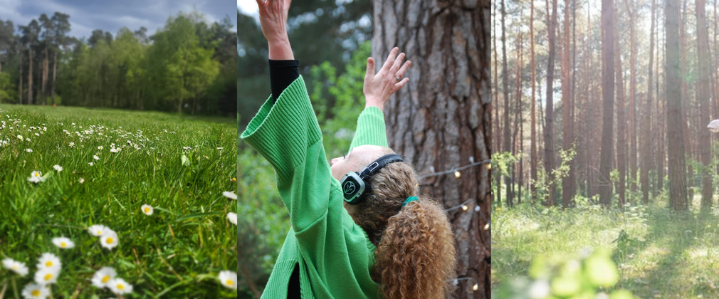 A collage of 3 images from left to right, a field with daisies, a person wearing headphones in the forest and sunlight through tall trees.