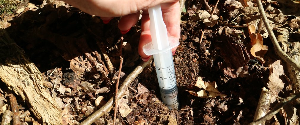 An image of an eDNA soil sample being taken