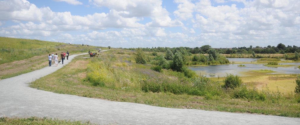 Pond side path on open grassland 