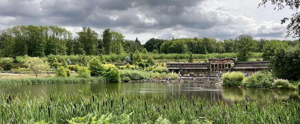 A view across the visitor centre and lake at Bedgebury Pinetum in Summer 