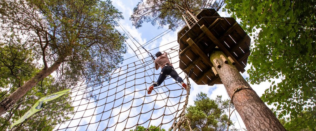 Go ape tree top adventure wendover woods 