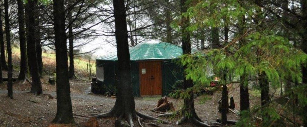 A green yurt pictured in a clearing amongst trees in the forest