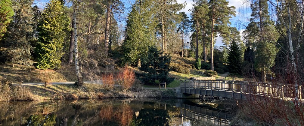 Bedgebury Landscape Masterplan | Forestry England