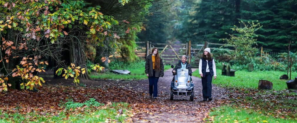 Woman using a tramper with two walkers in the forest in autumn.