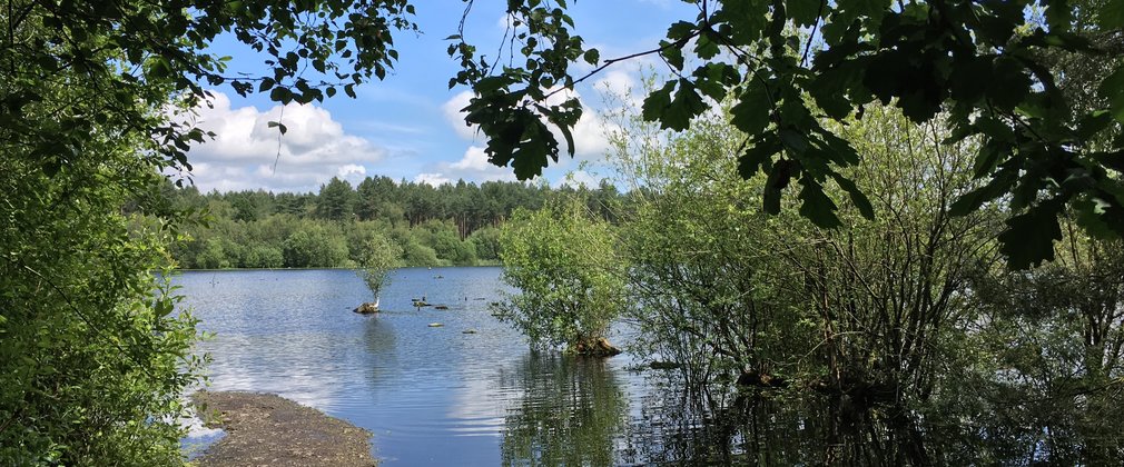 Blakemere lake with leaves from trees around the edge of the picture