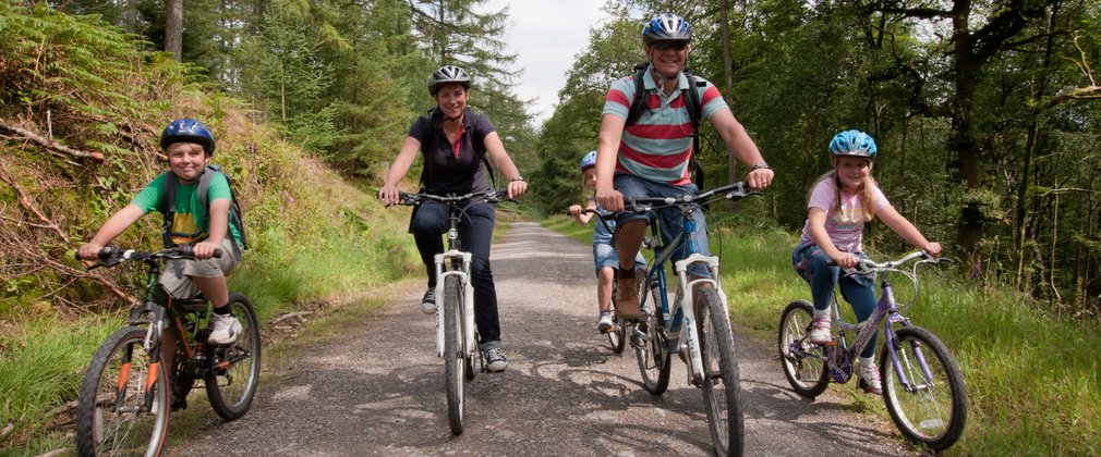 Blue cycle route at Guisborough Forest Forestry England