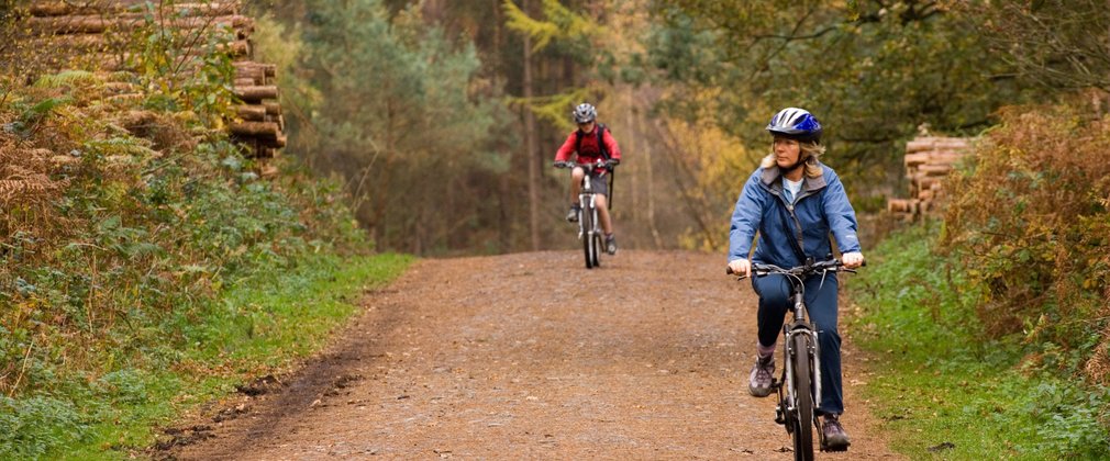 Forest of dean family cycle clearance trail