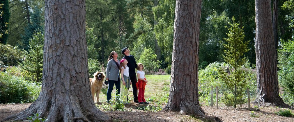 Family enjoying a woodland trail