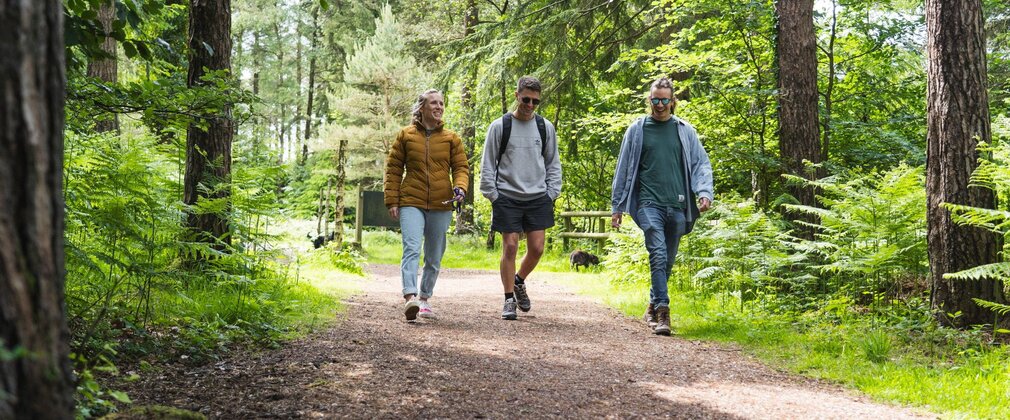 Three people smiling as they walk along a forest path in the sun.