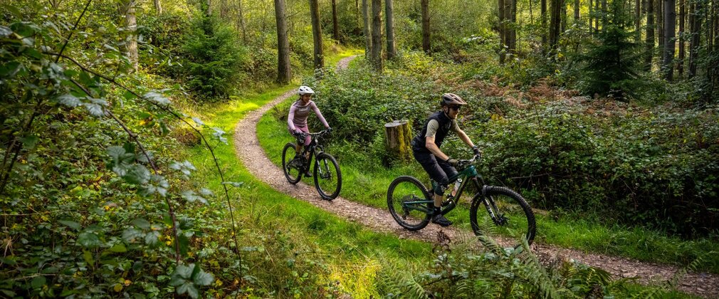 Two cyclists on a flat cycle trail in a conifer forest