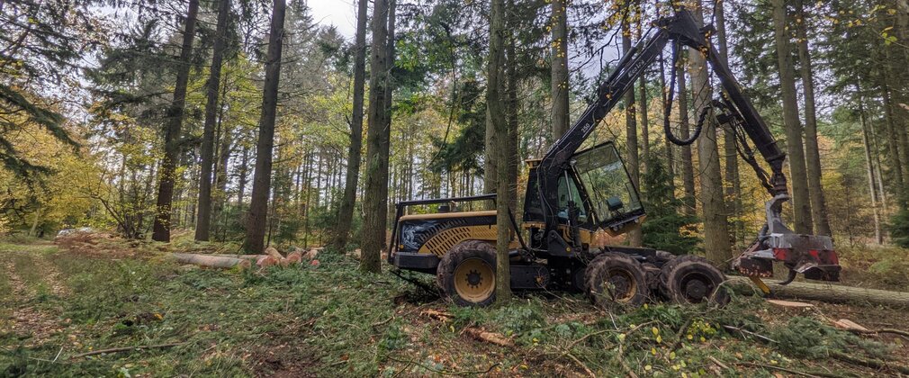 Tree harvester vehicle among trees.