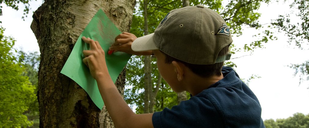 Child rubbing tree print with crayon 