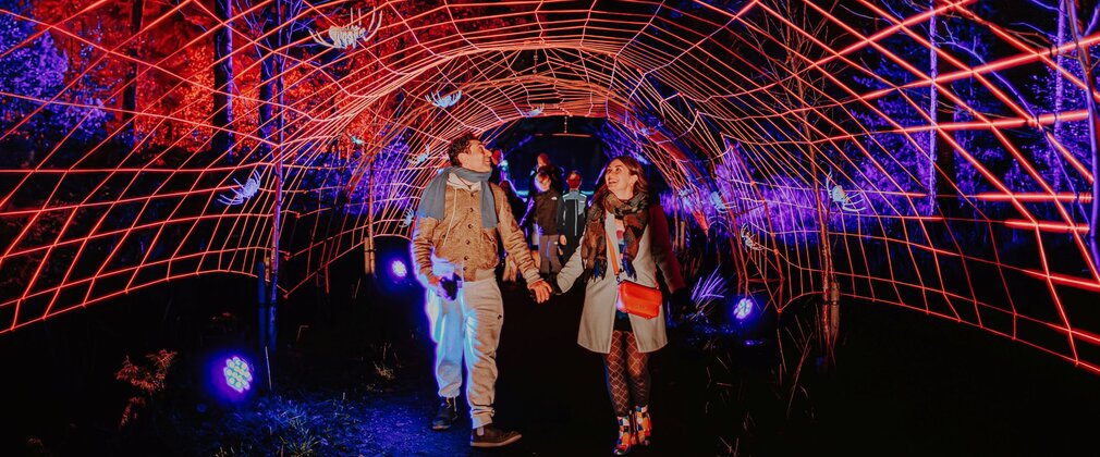 Two people walk through an illuminated spider-web tunnel at a forest light trail at night.