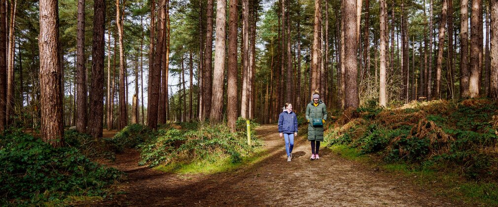 Woman and girl walking through coniferous woodland path