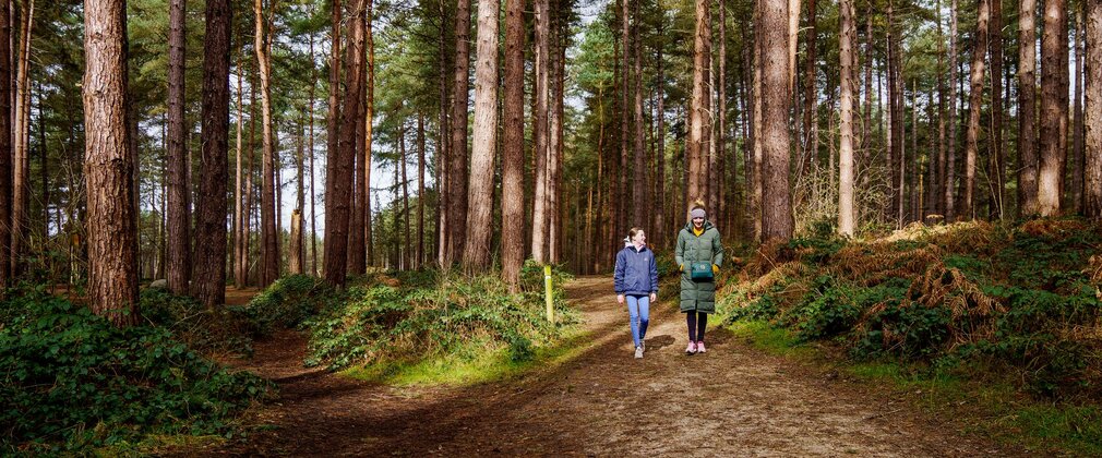Woman and girl walking through coniferous woodland path