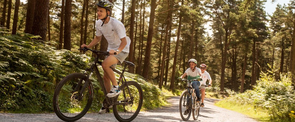 Family cycle trail at Wyre Forestry England